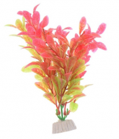 Waterplant rood-groen 16cm